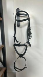 Hoofdstel maat cob, Dieren en Toebehoren, Paarden en Pony's | Hoofdstellen en Tuigage, Ophalen of Verzenden, Dressuur