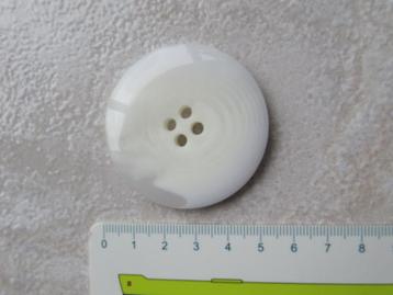 Knoop beschikbaar voor biedingen