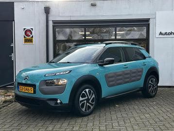 Citroen C4 Cactus 1.2 PureTech Business | Cruise Control & C beschikbaar voor biedingen