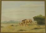 Safari-Kenya 2 leeuwen originele aquarel Daniel Njorogo 1991, Antiek en Kunst, Kunst | Schilderijen | Klassiek, Ophalen