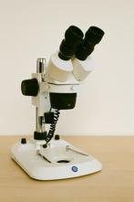 Euromex Stereoscoop - Prachtig!, Ophalen of Verzenden, Zo goed als nieuw, Minder dan 400x, Stereomicroscoop