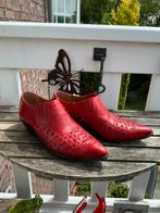 Mooie knal rode cowboy / punt schoenen. Scheur in 1 zool m38, Kleding | Dames, Schoenen, Ophalen of Verzenden, Zo goed als nieuw