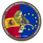 Timbrado Spaanse Zangkanarie ( Floreado), Dieren en Toebehoren, Meerdere dieren, Zangkanarie