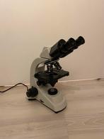 Microscoop BMS, Ophalen, Gebruikt, 1000x of meer, Biologische microscoop
