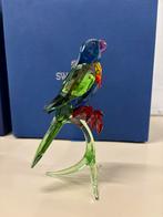 Swarovski regenboog Lori parkiet, Verzamelen, Ophalen of Verzenden, Zo goed als nieuw, Figuurtje
