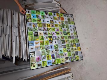Grote zwarte fotolijst 100 x 100 cm beschikbaar voor biedingen