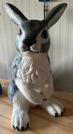 Prachtig XXL Konijn, Ophalen, Nieuw, Dier