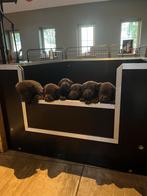 Werpkist 150x100x60, Dieren en Toebehoren, Ophalen of Verzenden, Zo goed als nieuw, 110 cm of meer, Minder dan 65 cm