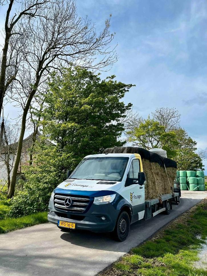 Hooi met analyse! In bundels van 12, Dieren en Toebehoren, Dierenvoeding, Vee, Ophalen