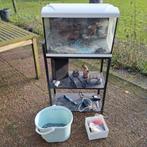 Leuk aquarium met alle toebehoren., Dieren en Toebehoren, Vissen | Aquaria en Toebehoren, Ophalen, Gebruikt, Leeg aquarium