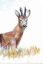 Michelle Dujardin – 30 kaarten Dwingelderveld - ongelopen, Verzenden, 1980 tot heden, Ongelopen, Natuur