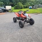 Bashan /catbrier  229cc quad