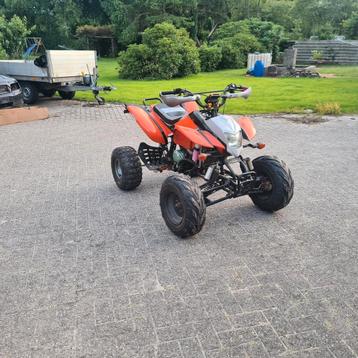 Bashan /catbrier  229cc quad beschikbaar voor biedingen