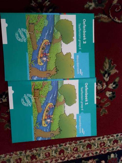 2xboek  taalfontein groep 6 oefenboek 1+2, Boeken, Schoolboeken, Nieuw, Overige niveaus, Ophalen of Verzenden
