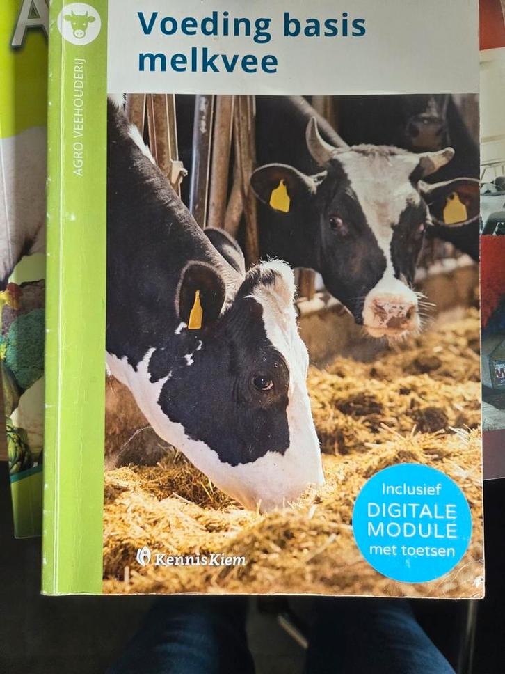 Voeding basis melkvee - Leerboek, Boeken, Studieboeken en Cursussen, Zo goed als nieuw, Ophalen of Verzenden
