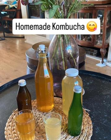 Eigengemaakte Kombucha van biologische zwarte en groene t beschikbaar voor biedingen