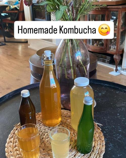 Eigengemaakte Kombucha van biologische zwarte en groene t, Diversen, Levensmiddelen, Ophalen of Verzenden