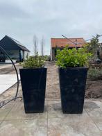 Plantenbak, bloempot antraciet., Tuin en Terras, Bloembakken en Plantenbakken, 60 cm of meer, Beton, Tuin, Gebruikt