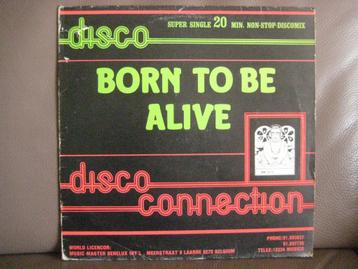Disco Connection – Born To Be Alive beschikbaar voor biedingen