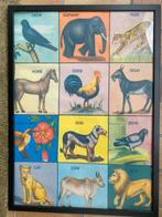 Vintage Dieren Poster in Lijst, Ophalen