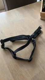 Hondentuigje van ROGZ merk voor M hond, Dieren en Toebehoren, Ophalen of Verzenden, Zo goed als nieuw