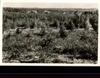 Hollandse Rading  Vergezicht jaren 50, Verzamelen, Ansichtkaarten | Nederland, Ophalen of Verzenden, 1940 tot 1960, Ongelopen