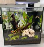Aquarium Superfish Qubic 30 pro zwart - inhoud ca 30 liter, Dieren en Toebehoren, Ophalen, Zo goed als nieuw, Leeg aquarium