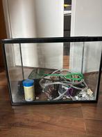 Klein aquarium voor guppies, Dieren en Toebehoren, Vissen | Aquaria en Toebehoren, Ophalen, Gebruikt, Leeg aquarium