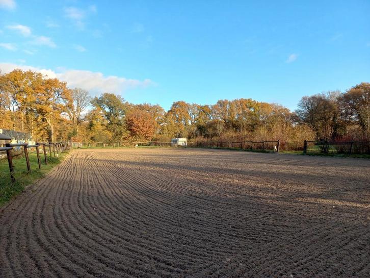 Plek voor meerdere pony's op Landgoed Wenum-wiesel,Apeldoorn, Dieren en Toebehoren, Stalling en Weidegang