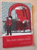 HET LICHT SCHIJNT OVERAL Kerstboek, Boeken, Kinderboeken | Jeugd | onder 10 jaar, Ophalen of Verzenden, Zo goed als nieuw