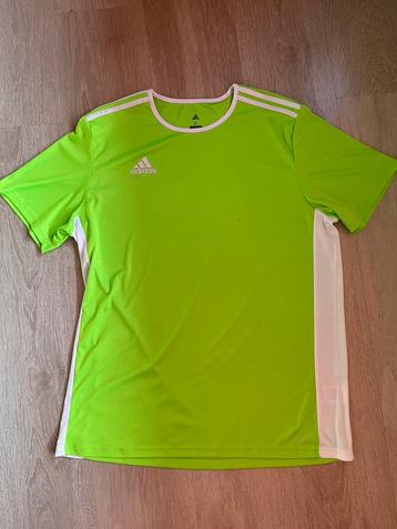 Adidas sportshirt maat XL beschikbaar voor biedingen