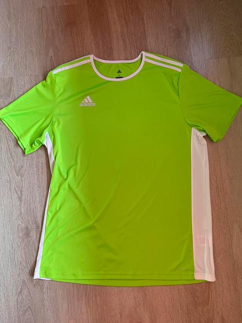 Adidas sportshirt maat XL, Kleding | Heren, Sportkleding, Zo goed als nieuw, Algemeen, Maat 56/58 (XL), Groen, Ophalen of Verzenden