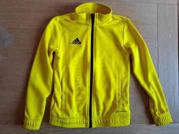 Adidas Trainingsjack maat 140 beschikbaar voor biedingen