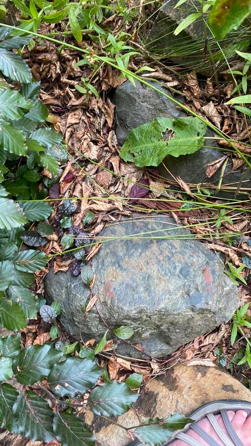 Gratis vijver stenen met fonteintje, Tuin en Terras, Vijvers, Gebruikt, Ophalen of Verzenden
