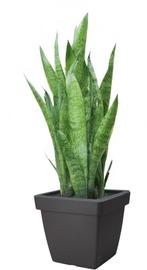 Plantenpot/bloempot Kunststof D39xH35cm Zwart, Kunststof, Verzenden, Vierkant, Nieuw