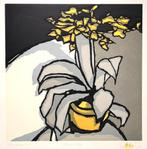 43. Boardsnede, Fon Klement - "Florifere", 1996, Antiek en Kunst, Ophalen of Verzenden