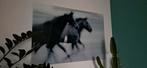 Paardenprint op glas, Huis en Inrichting, Ophalen, 50 tot 75 cm, 75 tot 100 cm, Print
