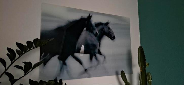 Paardenprint op glas, Huis en Inrichting, Woonaccessoires | Schilderijen, Tekeningen en Foto's, Zo goed als nieuw, Print, 50 tot 75 cm