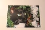 Katten Postkaart - Zwart - witte Kat De Kat uit de Boom kijk, Verzamelen, Ansichtkaarten | Dieren, Ongelopen, Verzenden, 1980 tot heden
