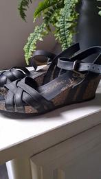 Panama Jack Sandalen - Maat 38, Zwart, Panama Jack, Gedragen, Sandalen of Muiltjes