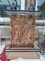 Groot terrarium, Dieren en Toebehoren, Reptielen en Amfibieën | Toebehoren, Ophalen