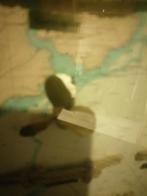 OUDE MARITIEME DIORAMA SHOWCASE KNOPEN 52X42X4 CM  TOPSTAAT, Gebruikt, Gebruiksvoorwerp, Motorboot of Zeilboot, Ophalen of Verzenden