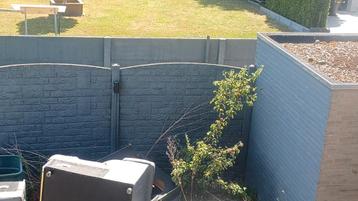 Schutting met paal  beton  beschikbaar voor biedingen