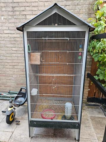  5 rijstvogels Java Sparrow huisvogels + XXXL kooi cage +  beschikbaar voor biedingen