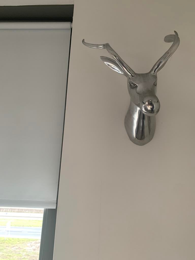 Aluminium hertenkop, Ophalen, Zo goed als nieuw