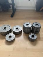 Gewichten voor dumbells, Ophalen, Zo goed als nieuw, Dumbbell