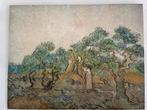 Van Gogh Olijfgaard Canvas, Ophalen