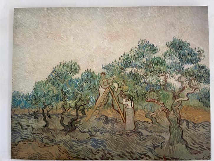 Van Gogh Olijfgaard Canvas, Antiek en Kunst, Kunst | Schilderijen | Klassiek, Ophalen