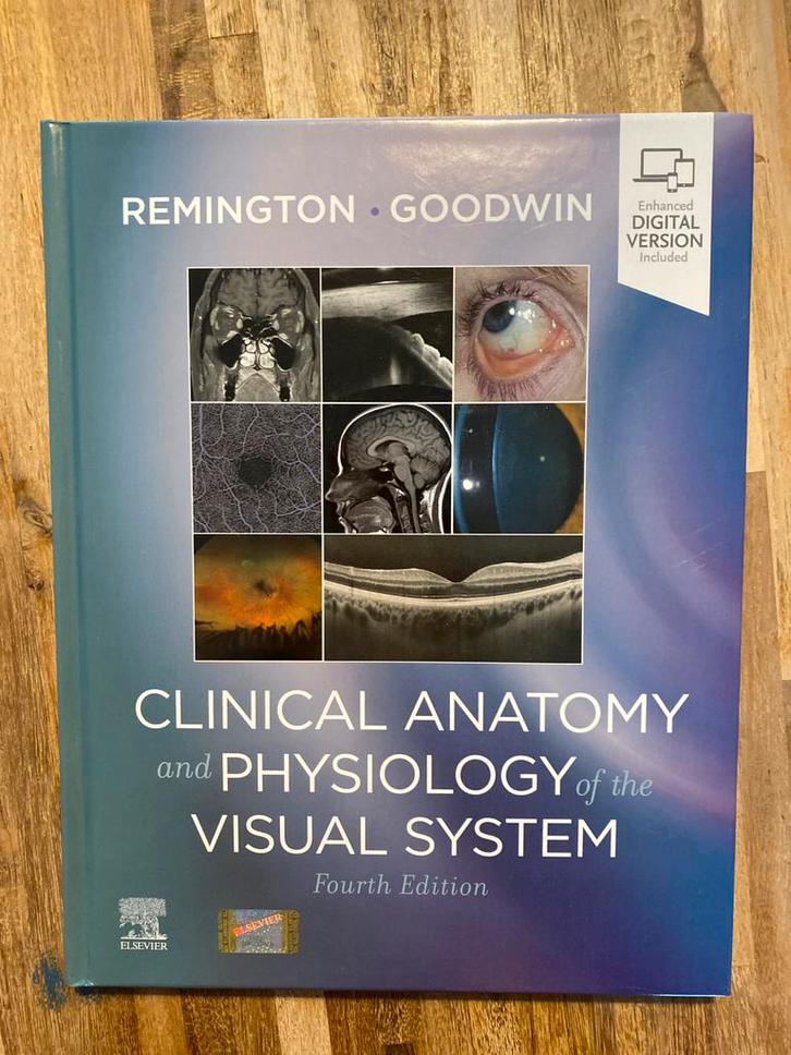 Remington Goodwin: Visual System Anatomy & Physiology, Boeken, Studieboeken en Cursussen, Zo goed als nieuw, HBO, Beta, Ophalen of Verzenden