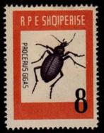 ALBANIË 43 - Dieren: insecten (kever), Ophalen of Verzenden, Postfris